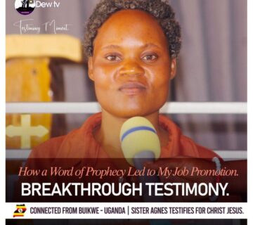 AGNES TESTIFY HEADER 360x320