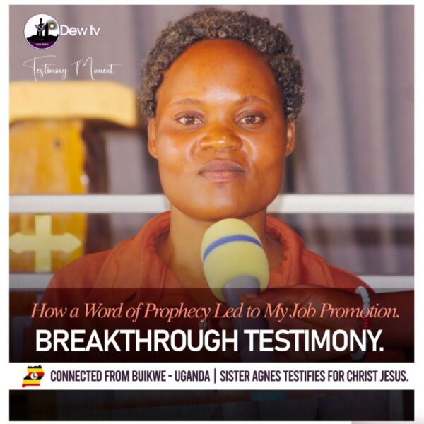 AGNES TESTIFY HEADER 600x600