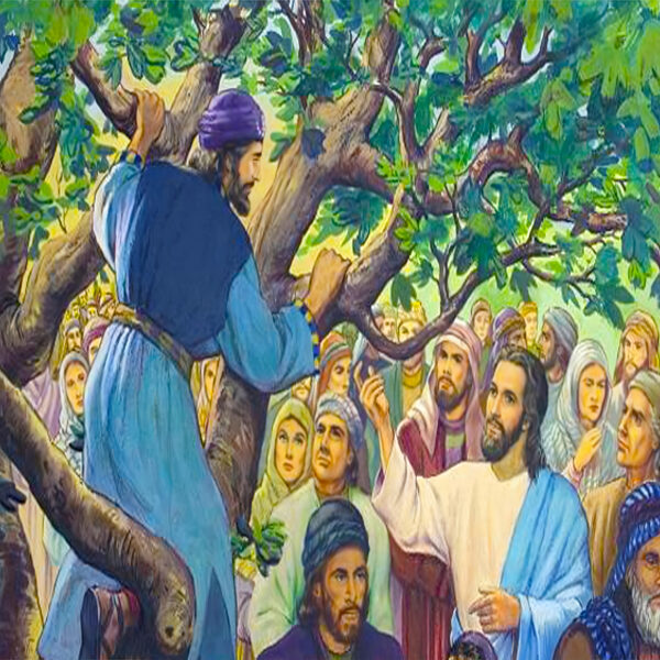ZACCHAEUS 2 600x600