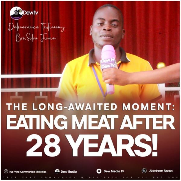 Silva 2 HEADER 600x600