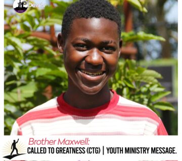 MAXWELL 1000 360x320