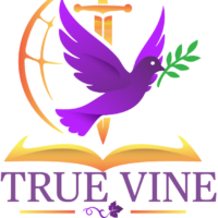 logo-v2-graphics logo-v2-graphics